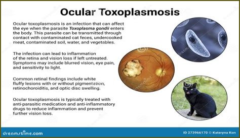 What causes false positive toxoplasmosis?
