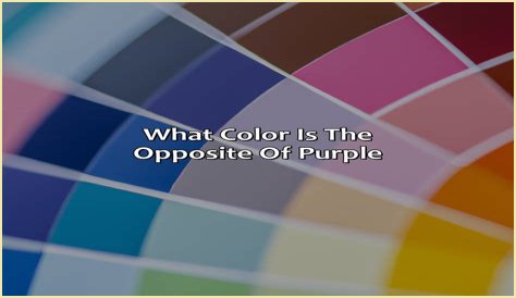 What is the opposite of internecine?